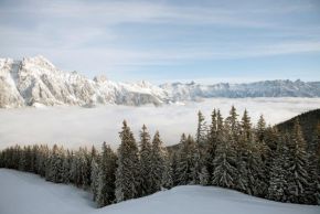 Winterlandschaft Winter Landscape8 (c) Julian Mullan